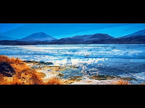 Insect O. - Atacama [ETUILP001]