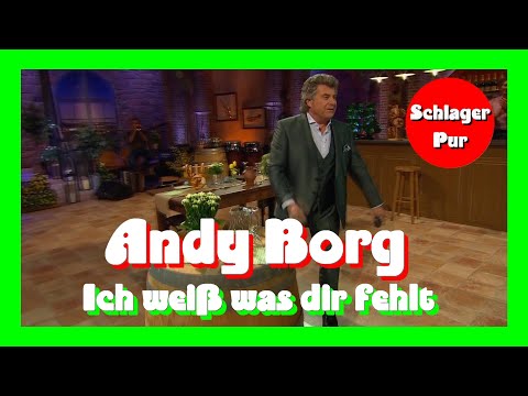 Andy Borg - Ich weiß was dir fehlt (Schlager Spaß mit Andy Borg 06.11.2020)
