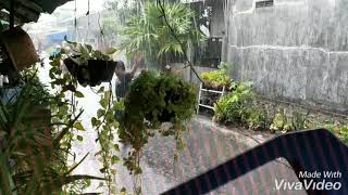 Download lagu Bujang Tulen mp3