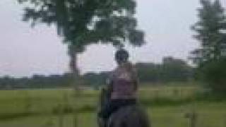 Ik ben veranderd, een *a n d e r*