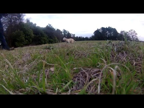 Eachine Falcon Test Flight #1 HD (ION Action Camera)
