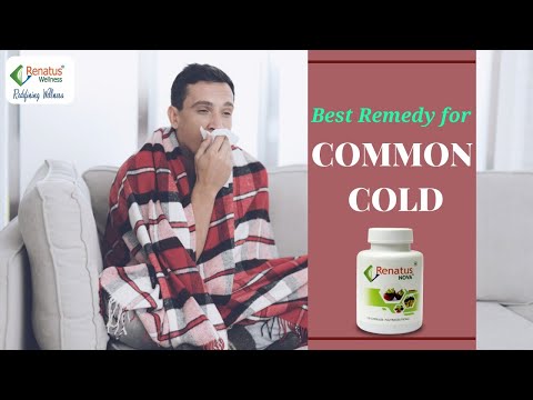 Best Remedy For Common Cold | Renatus Nova | Elderberry