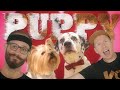 Koo Koo Puppy Dance A Long