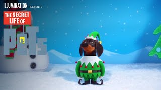 The Secret Life Of Pets | The Holiday Greeting (HD) | Illumination