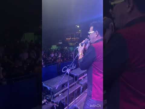 Muñeca grupo bananas live