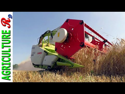 Claas Lexion 7700 Montana: The Ultimate Farming Machine