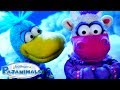 Sweet Pajanimals Moments For Valentine S Day Pajanimals