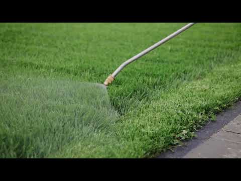 Weed Killer That Won’t Kill Your Grass