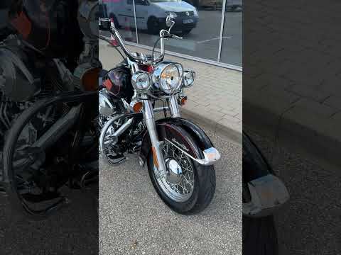 Harley-Davidson FLSTC 1500cc, choppers / cruisers / custom