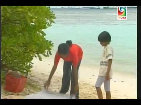 Moodhah erelanvee / wajeehu & Shiraanee Shelee