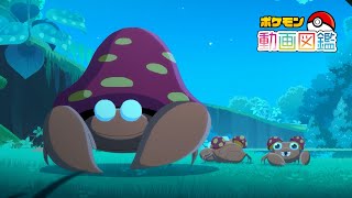 [閒聊] 寶可夢動畫圖鑑No.0047 派拉斯特