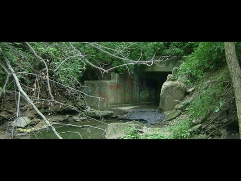 Satan's Hollow | HAUNTober