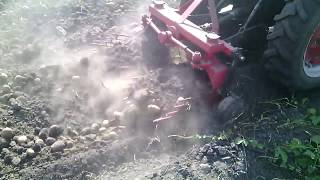 venta de AGRIX SMG A8 arrancadora de patatas imagen 5 AGRIX SMG A8 arrancadora de patatas nueva imagen 5