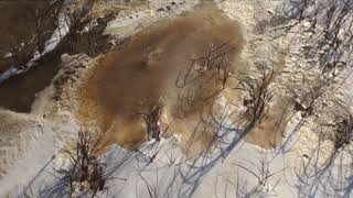 HÍREK A TERMÉSZETBŐL