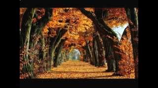 ANA BELÉN- DESDE MI LIBERTAD.