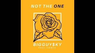 Not The One Music Video