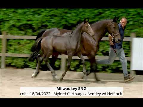 Milwaukey SR Z