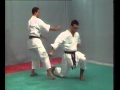 WKF BASSAI DAI BUNKAI