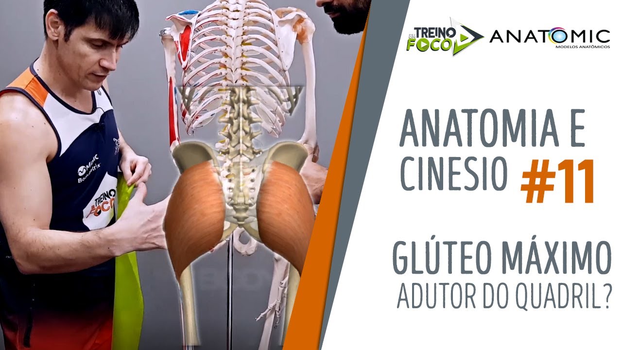Você sabia que o Glúteo Máximo também é ADUTOR do quaril? - Anatomia e Cinesiologia #11