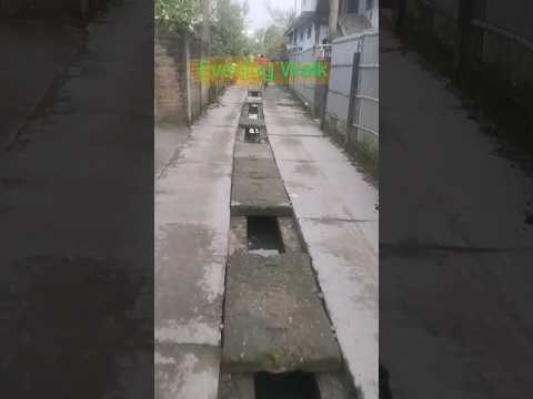 Street Of Nazira Town #shorts #eveningout #Nazira #fypシ゚viral