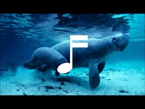 Cinematic Dubstep 1 - Copyright Free