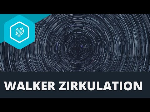 Walker Zirkulation