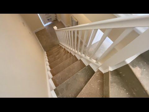 Some painters 👨🏻‍🎨 are just Unbelievable