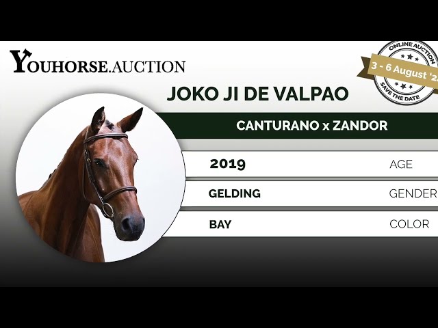Joko Ji de Valpoa showvideo