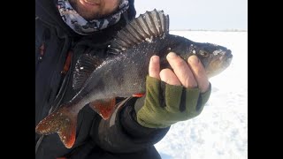 Рыбалка на оби каменное 2019