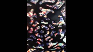 The Terreson: To Sacred Son