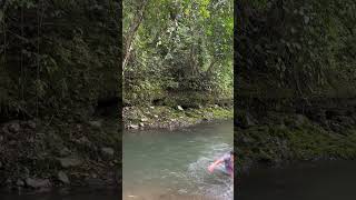 Download lagu Timing kaayu hapit na febuary 14 unta Dali ra ne maayu Ang pinaakan #nature #comedy mp3