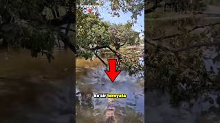 Download lagu ⚠️ Awalnya Tenang, Akhirnya Bikin Deg-degan! mp3