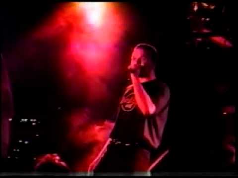 Passion - You Really Got Me n Stuff