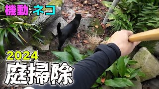 猫とお庭の掃除！ついでに糞も片付ける...