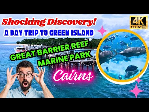 Shocking Discovery From A Day Trip To Green Island Great Barrier Reef Marine Park Cairns Australia
