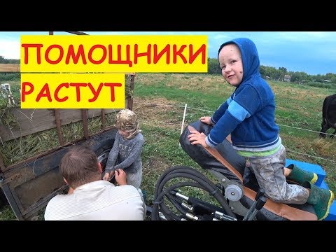 Деревенские будни / Папины помощники / Семья в деревне