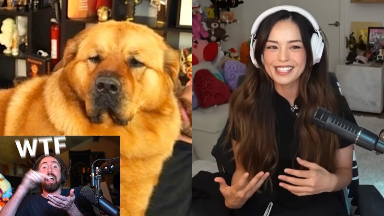 This got even worse..