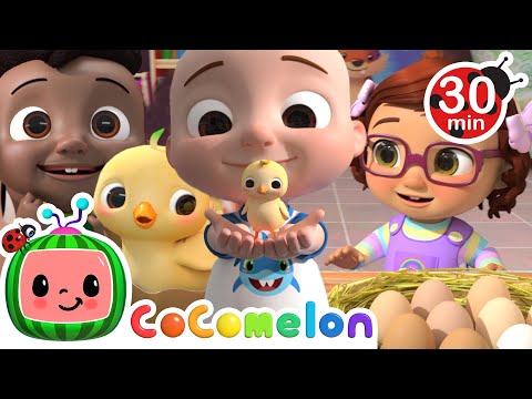 Numbers Song with Little Chicks | CoComelon Nursery Rhymes & Kids Songs