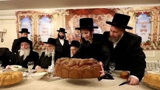 Liska Bar Mitzvah 2023 | שמחת הבר מצוה בחצר הקודש ליסקא