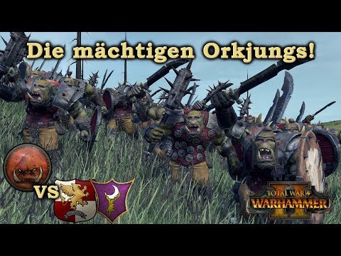 Die mächtigen Orkjungs vs Imperium - Total War: Warhammer 2 deutsch
