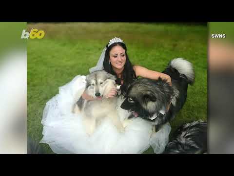 Couple’s Wedding Features Several Furry Friends Including Their Dog As The Ring Bearer!