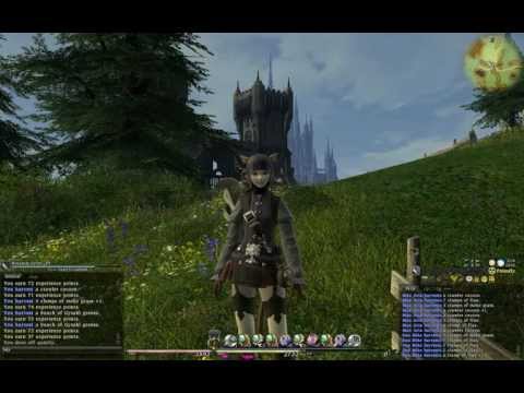 103 Let's Play Fianl Fantasy XIV - Getting Level 50 Botanist [part1]