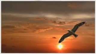 East India Youth - Dripping Down (Luke Abbott Remix)