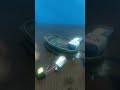 Vibro Robot Using Vibrating Dc Motor