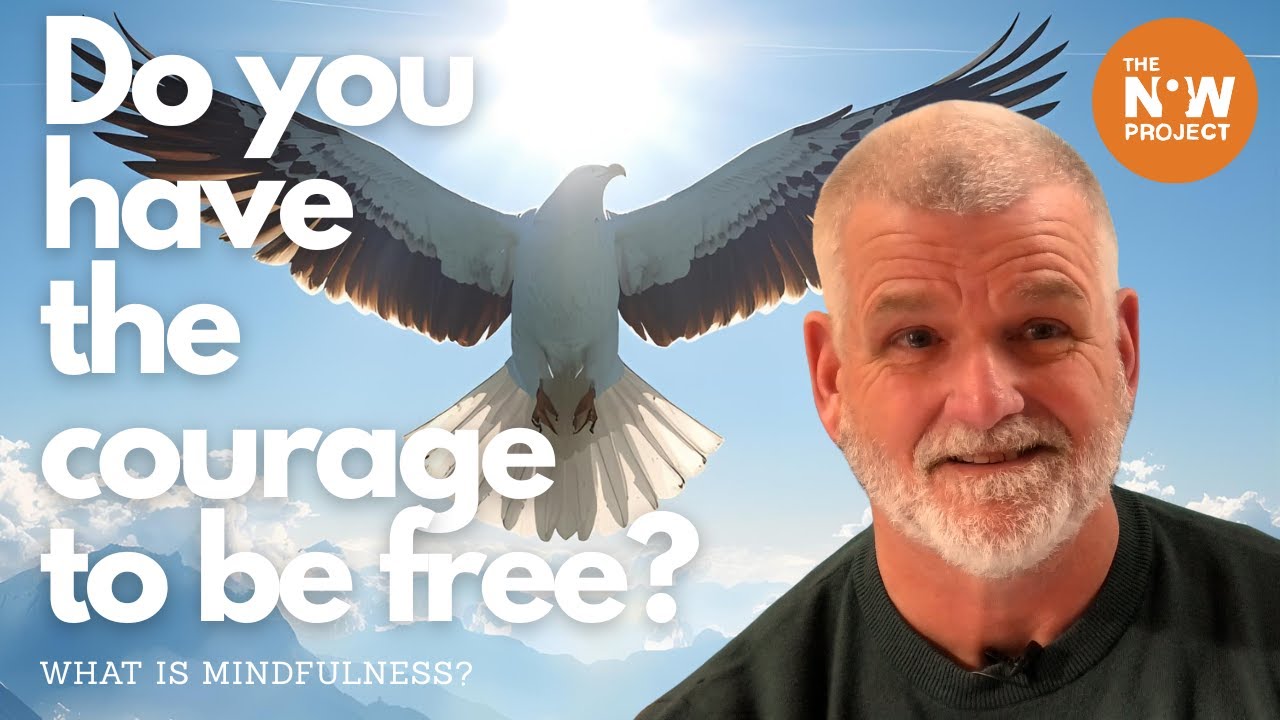 Videos The Now Project