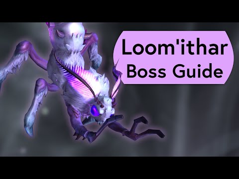 Loom'ithar Raid Guide - Normal and Heroic Manaforge Omega Boss Guide