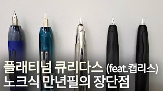 노크식 만년필 구매할 때, 살짝 유의할 점 & 플래티넘 큐리다스와 파이롯트 캡리스 닙 비교해보기🤗💕 Platinum CuridasㅣPilot CaplessㅣFountain Pen