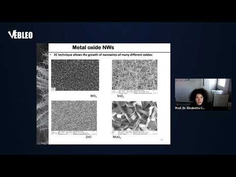 Profª Dra. Elisabetta Comini | Universidade de Brescia | Itália | Palestra | #Vebleo