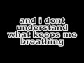 Limp Bizkit - Hold on (lyrics)