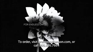 O Praise the Name (Anastasis): An Easter Moment (Lyric Video) | Travis Cottrell / Cody Fry